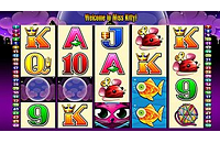 Aristocrat's Miss Kitty Slot Machine Main Screen