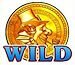 IGT / Barcrest's Rainbow Riches Slot Machine Gold Coin Wild Symbol