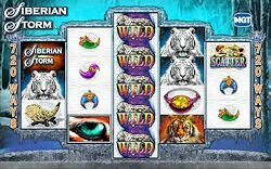 IGT Siberian Storm Slot Machine Base Game