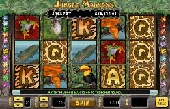 Jungle Madness Online Slot Machine Base Game