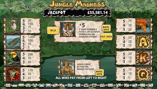 Jungle Madness Online Slot Machine Paytable