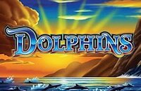 Ainsworth 50 Dolphins Slot Machine Review