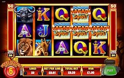 Ainsworth Safari Spirit Slot Machine Bonus Games