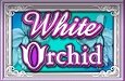 IGT White Orchid Slot Machine Free Play