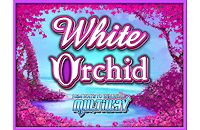 igt-white-orchid-online-slot-machine-logo-200x130