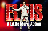 IGT Elvis A Little More Action Slot Machine Logo