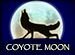 igt-coyote-moon-online-slot-machine-symbol-wild-75x55