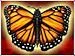 igt-grand-monarch-slot-machine-symbol-butterfly-75x56