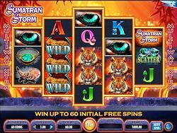 igt-sumatran-storm-online-slot-machine-game-base-250x188