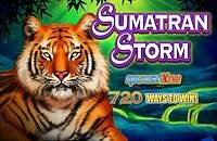 igt-sumatran-storm-online-slot-machine-game-logo-200x130