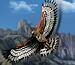 untamed-crowned-eagle-microgaming-75x65