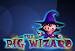 pig-wizard-blueprint-gaming-75x51