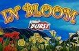 IGT In Bloom Slot Machine Review