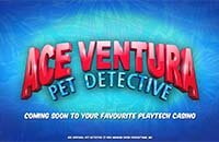 playtech-ace-ventura-pet-detective-slot-200x130